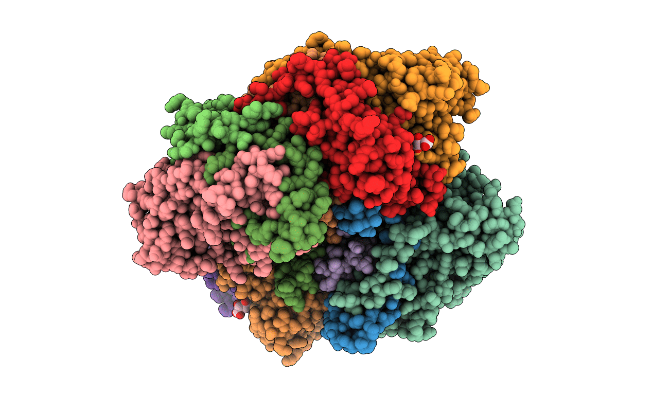 3VYG image
