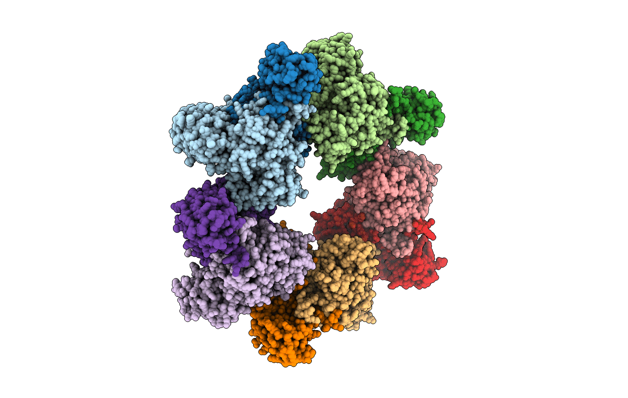 3W1I image