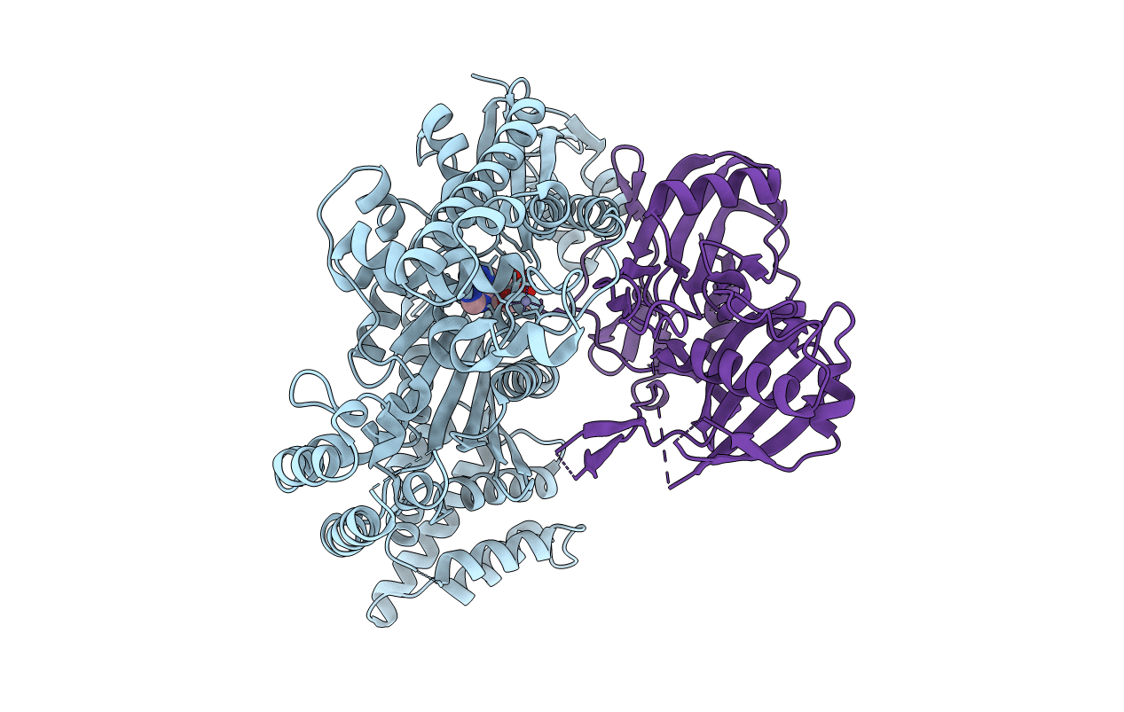 3W2V image