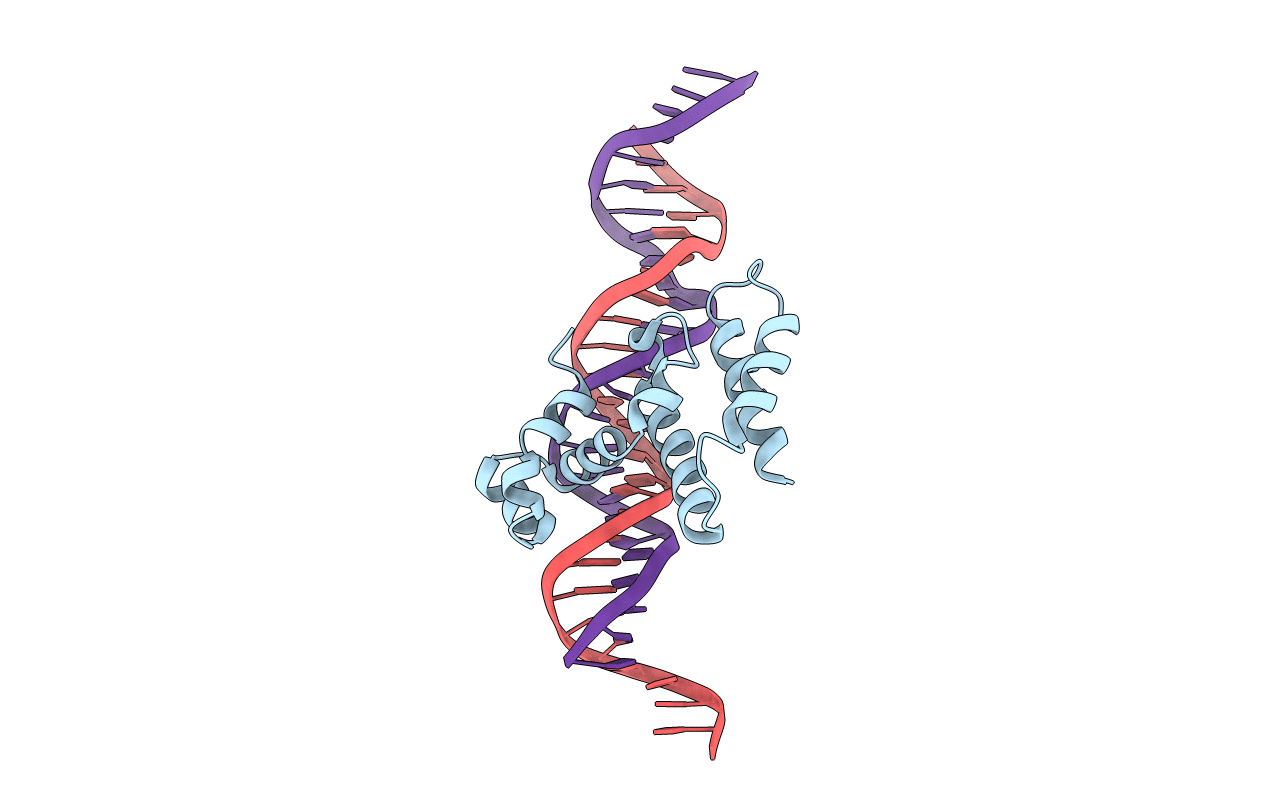 3W3C image