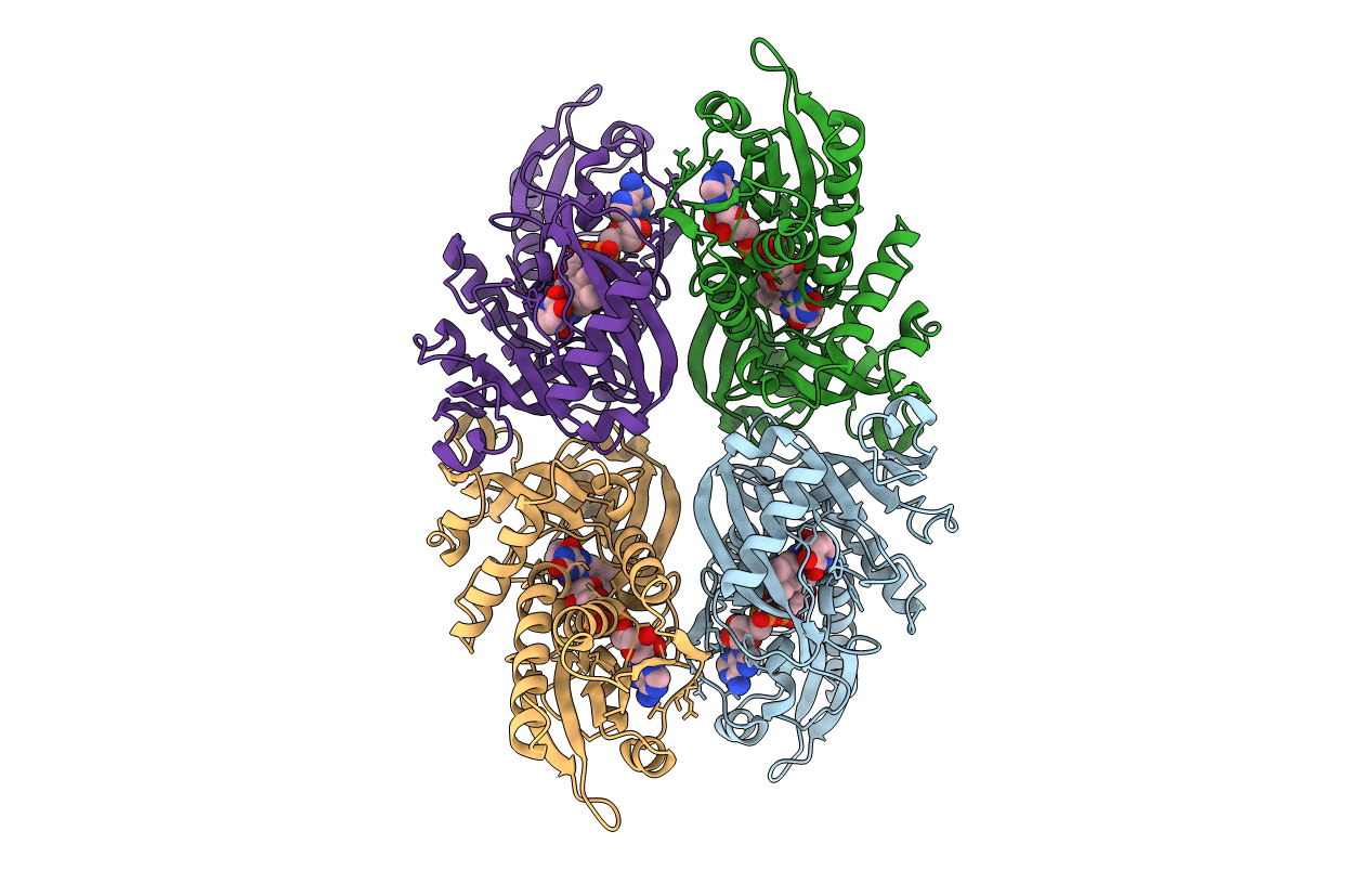 3W4I image