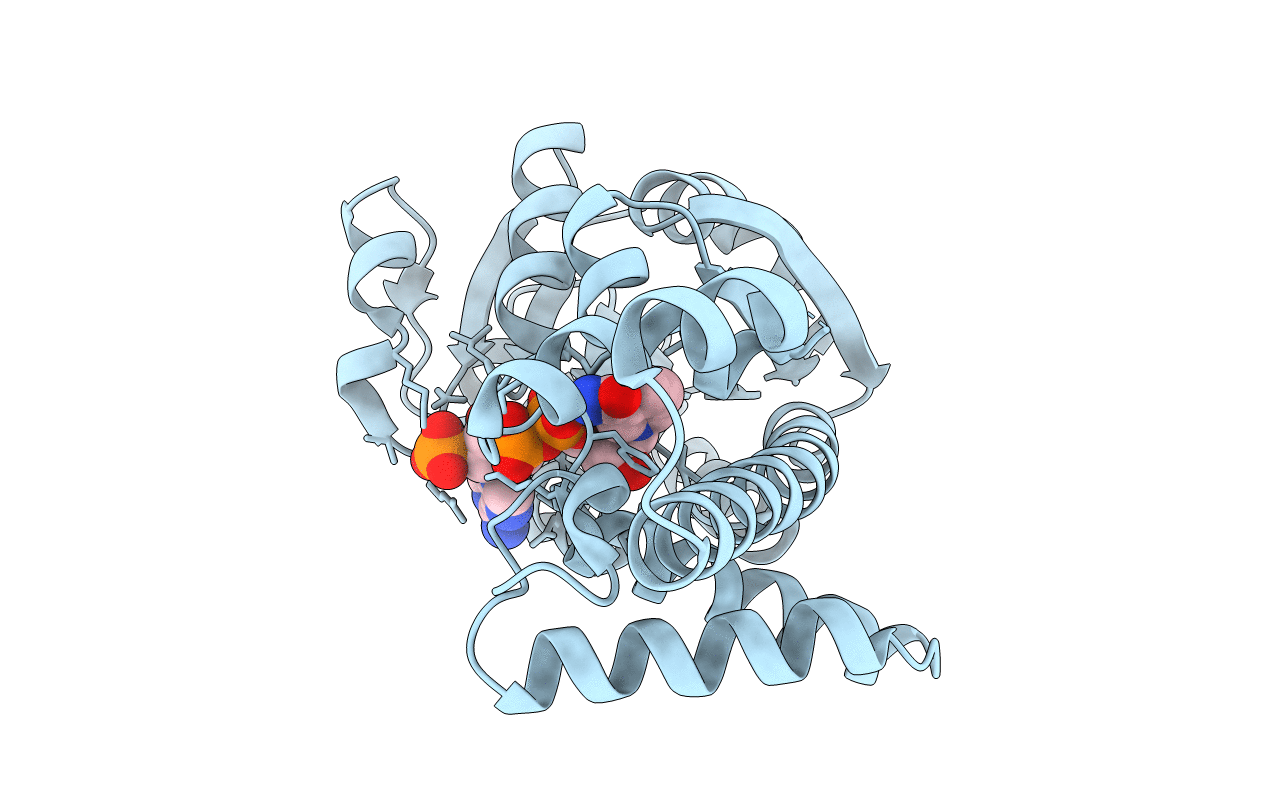 3W6U image