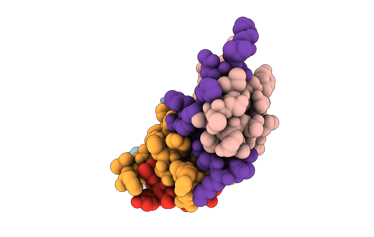 3W80 image