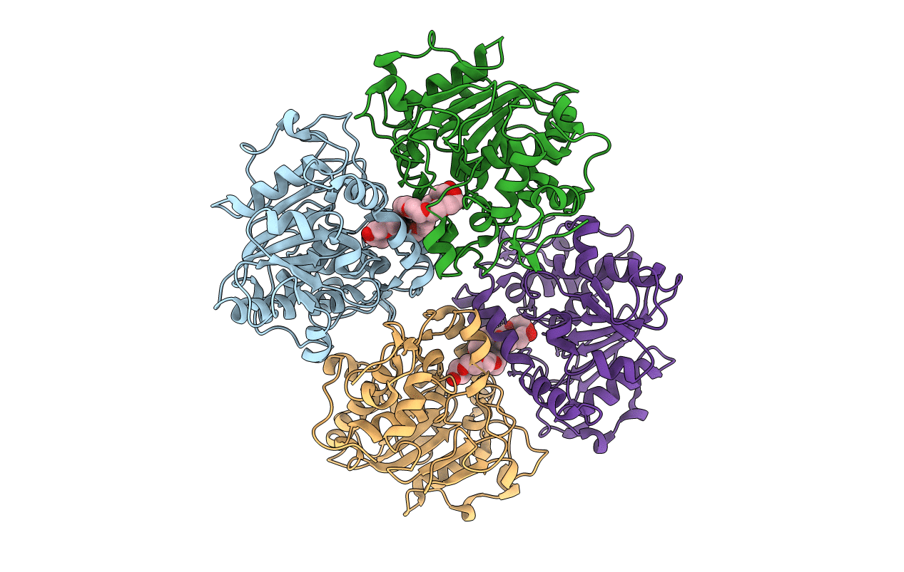3W9B image