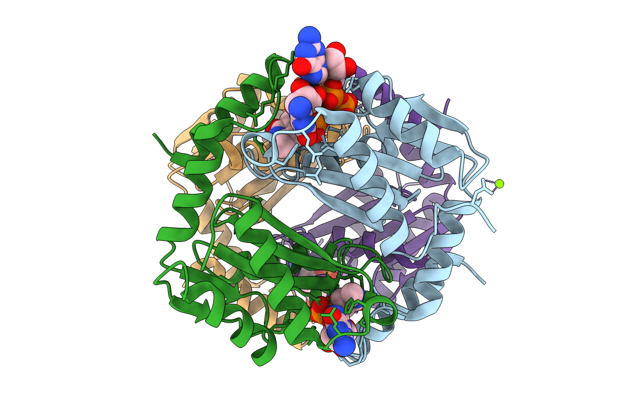 3WB2 image