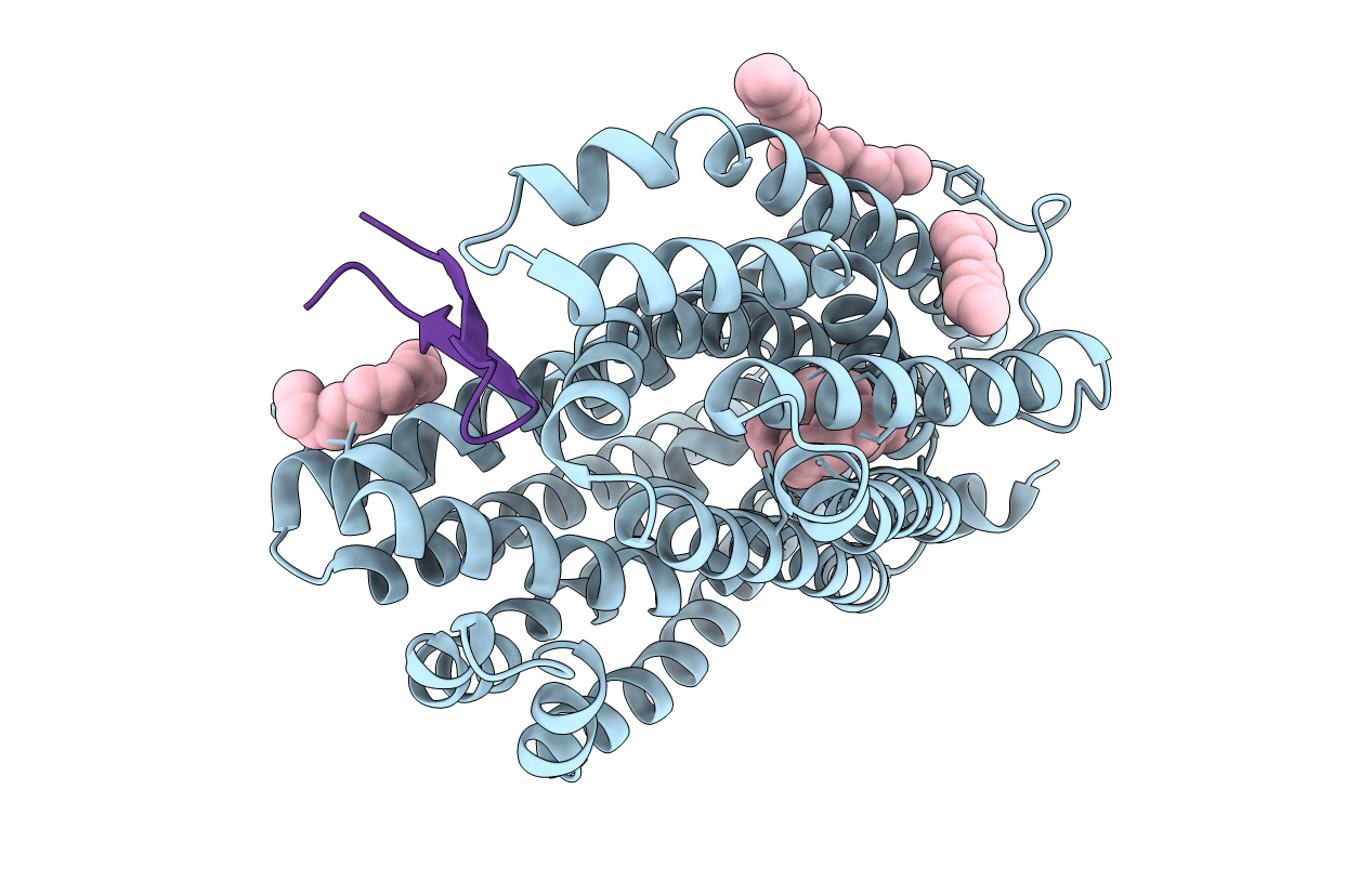 3WBN image