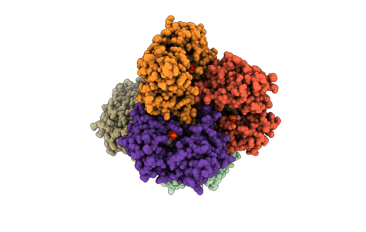 3WCI image