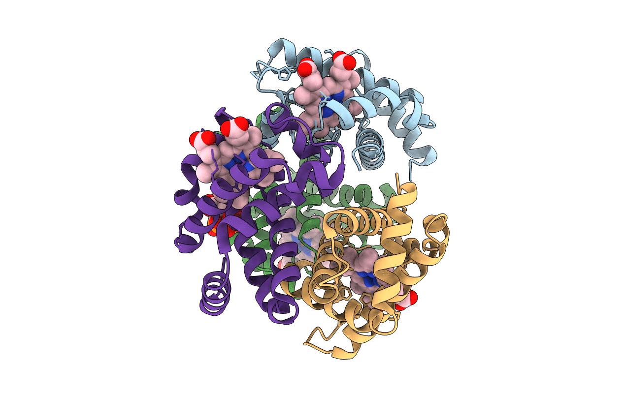 3WCP image