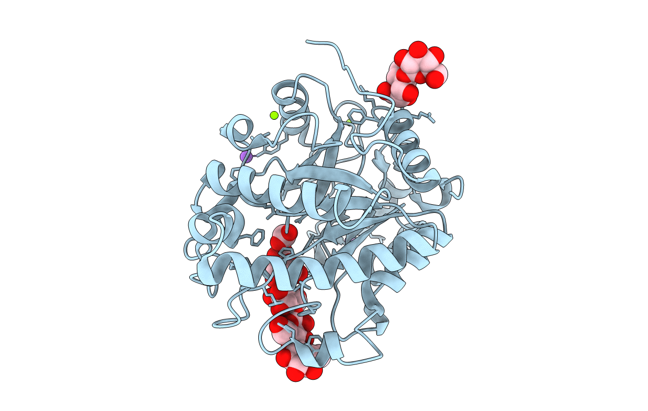 3WDR image