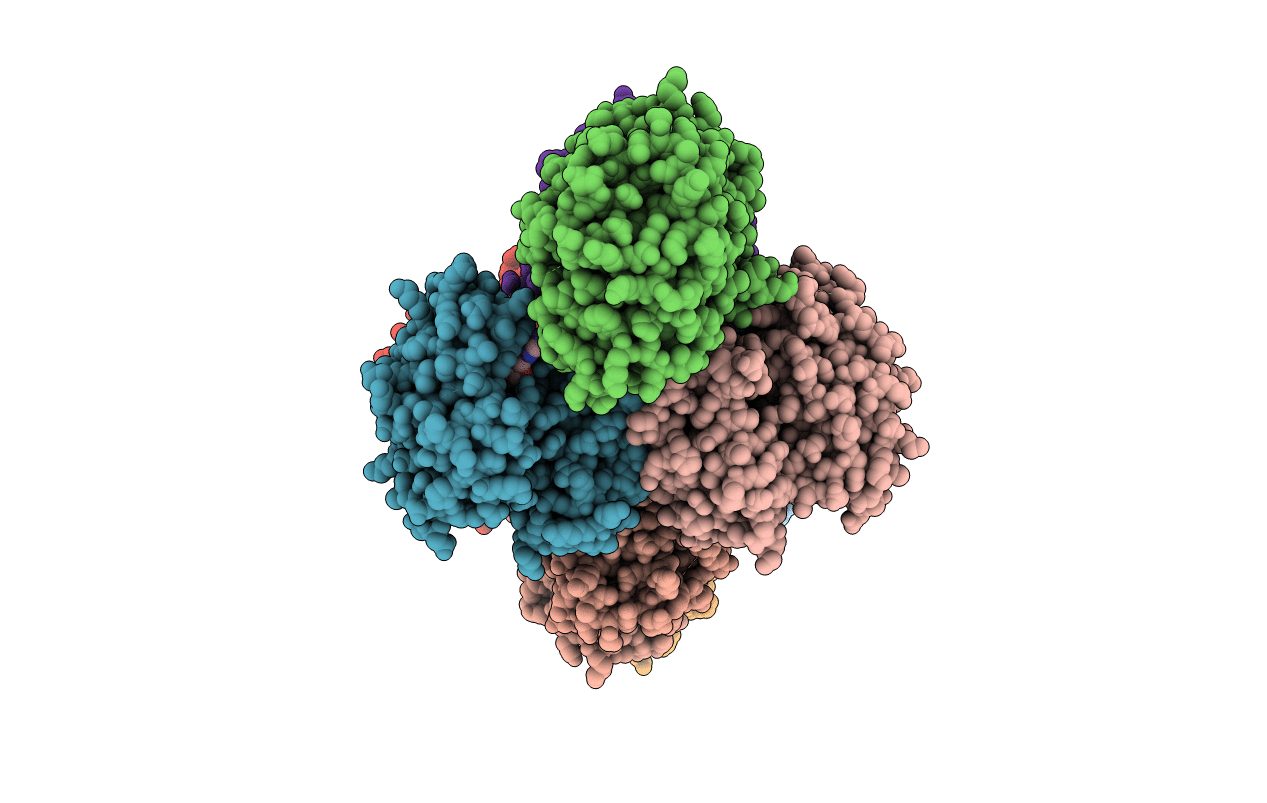 3WFJ image