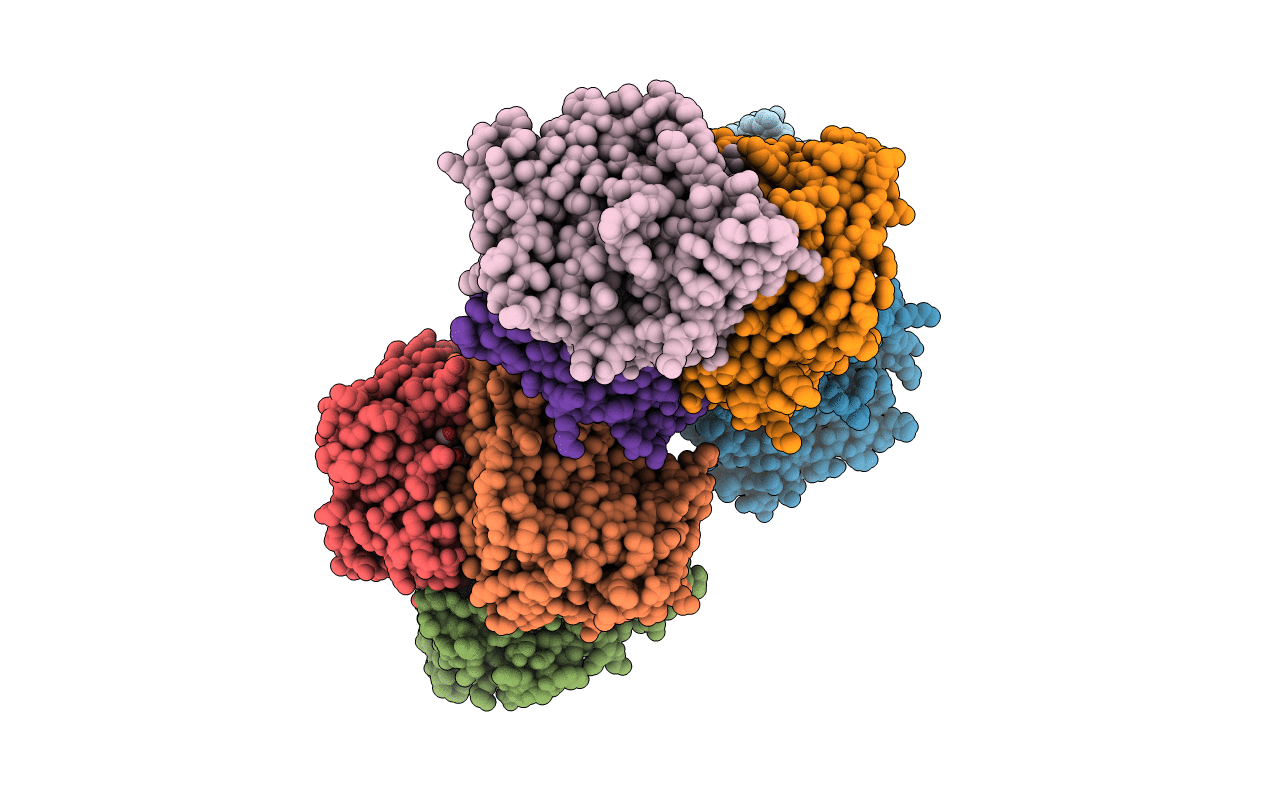 3WIA image