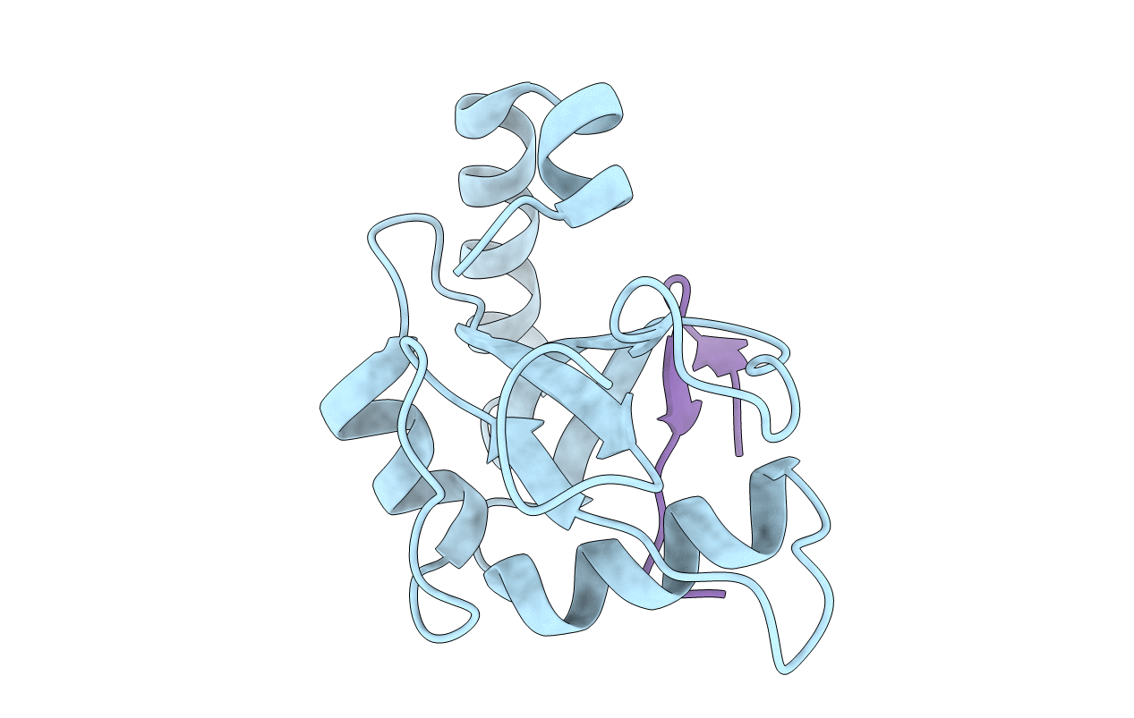 3WIM image