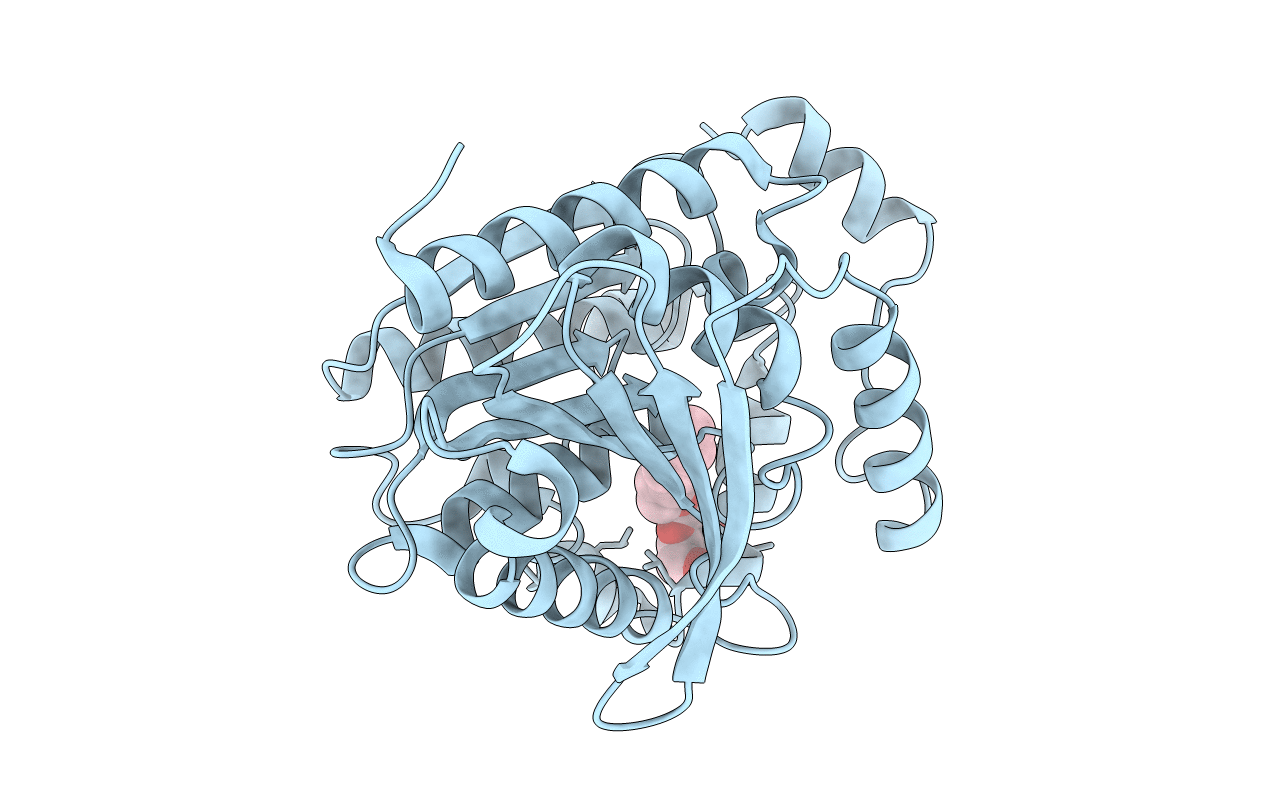 3WJ1 image
