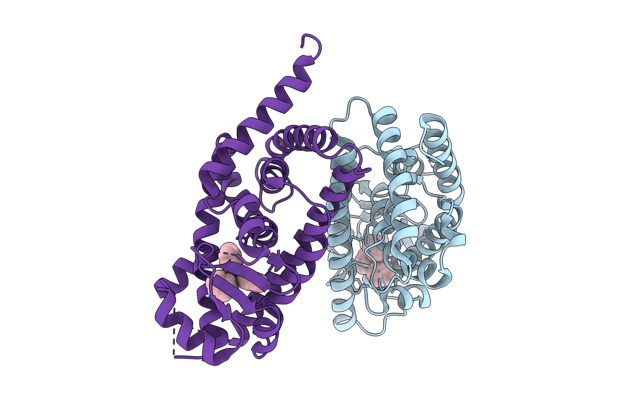 3WJ5 image