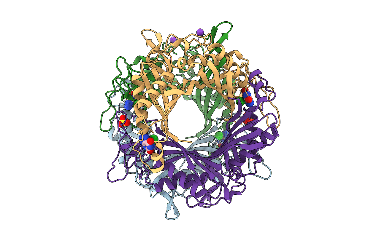 3WLV image