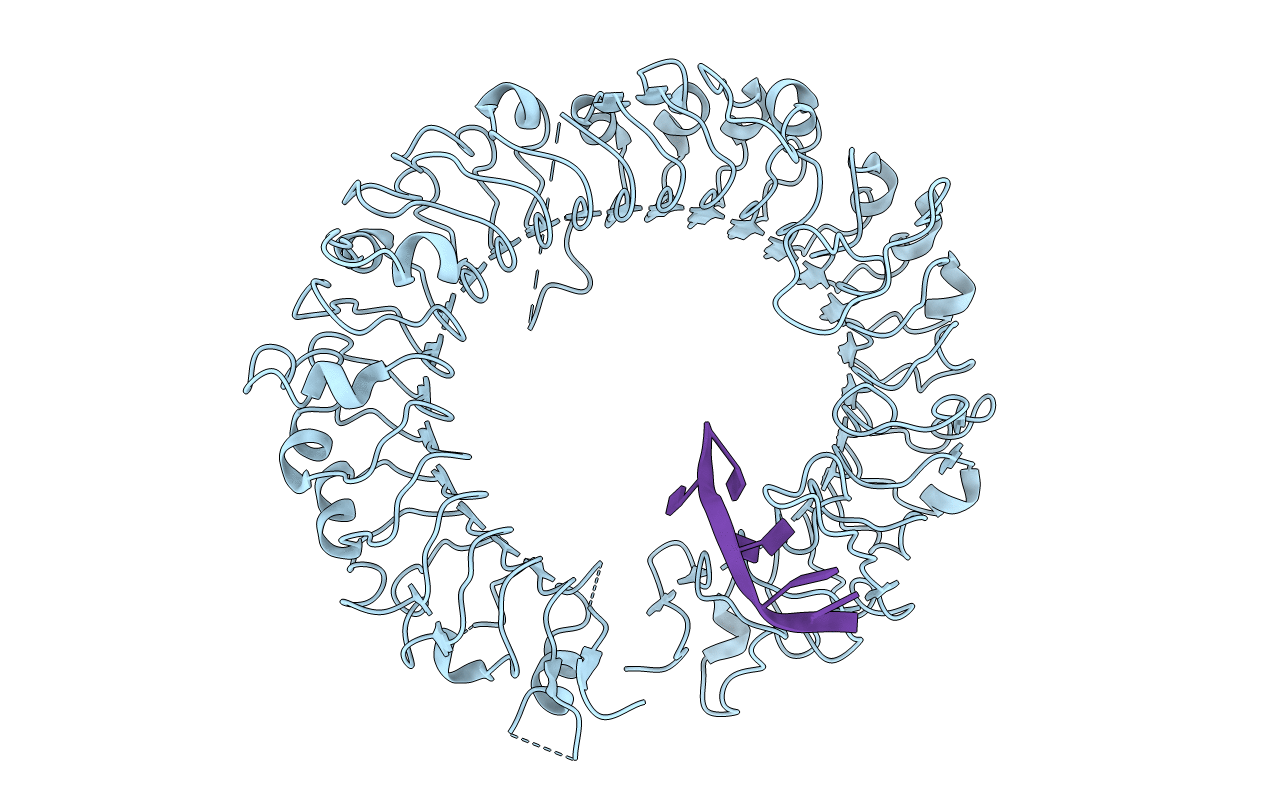 3WPE image