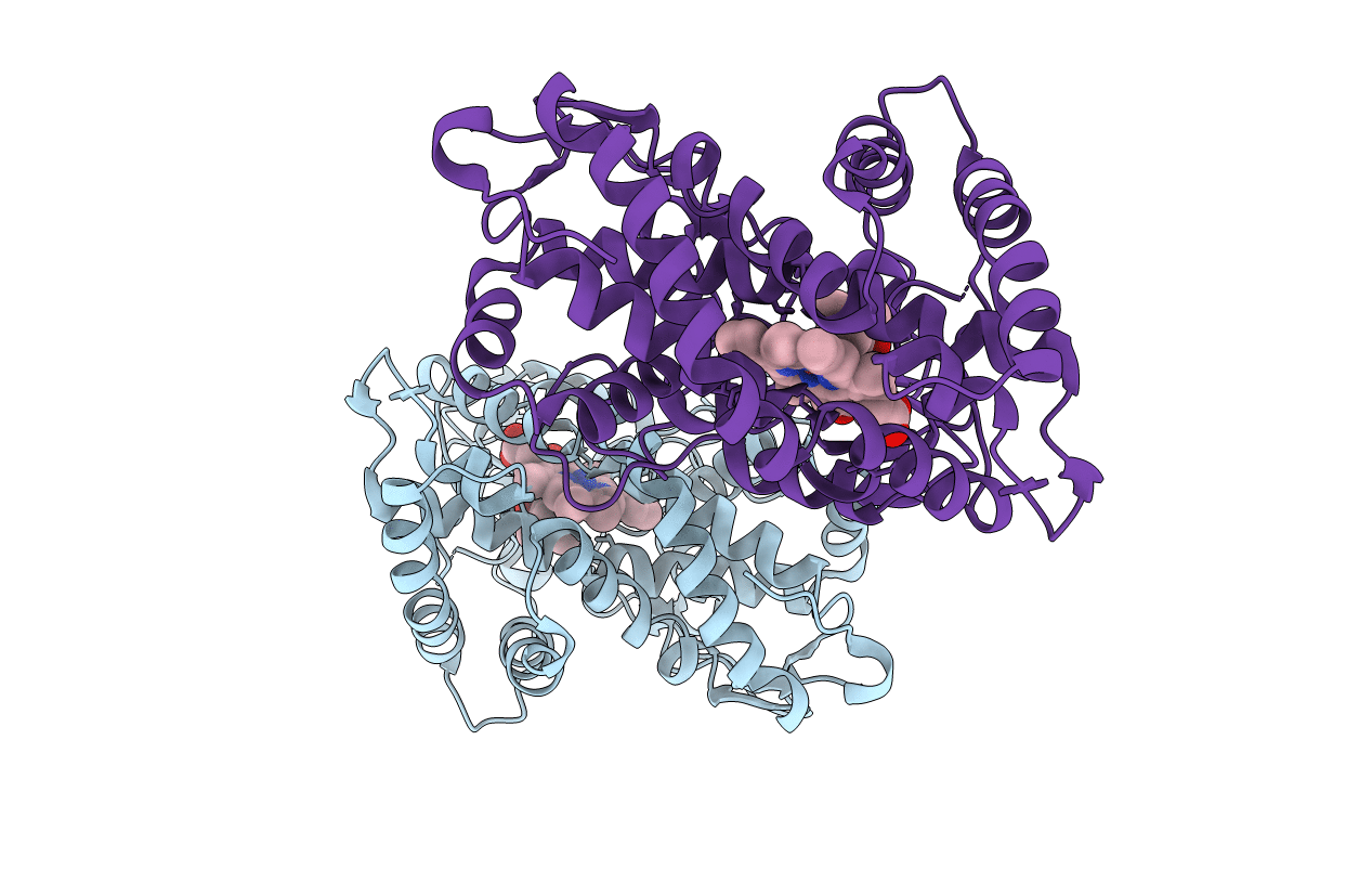 3WRI image