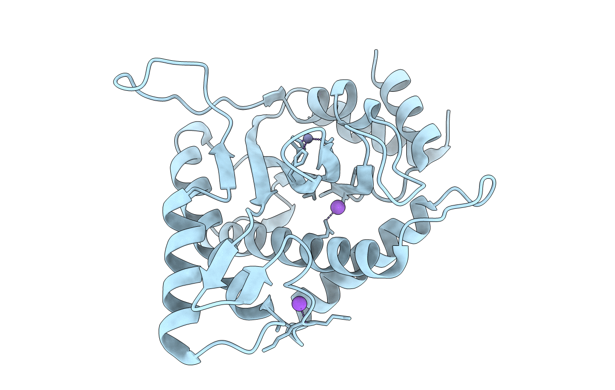 3WRN image