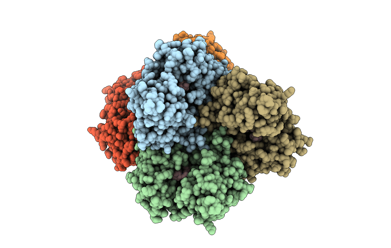 3WSA image