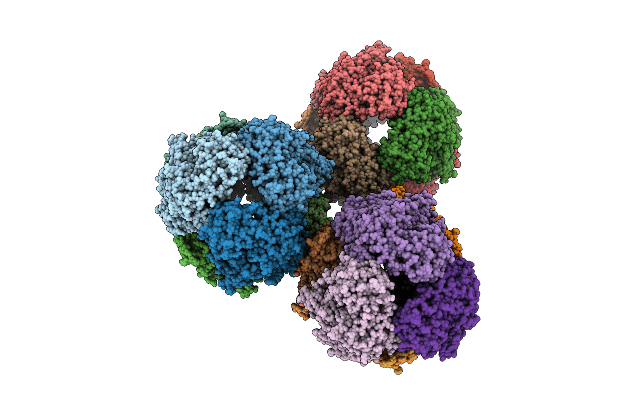 3WST image