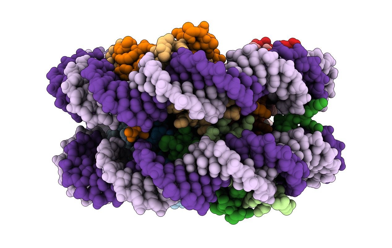 3WTP image