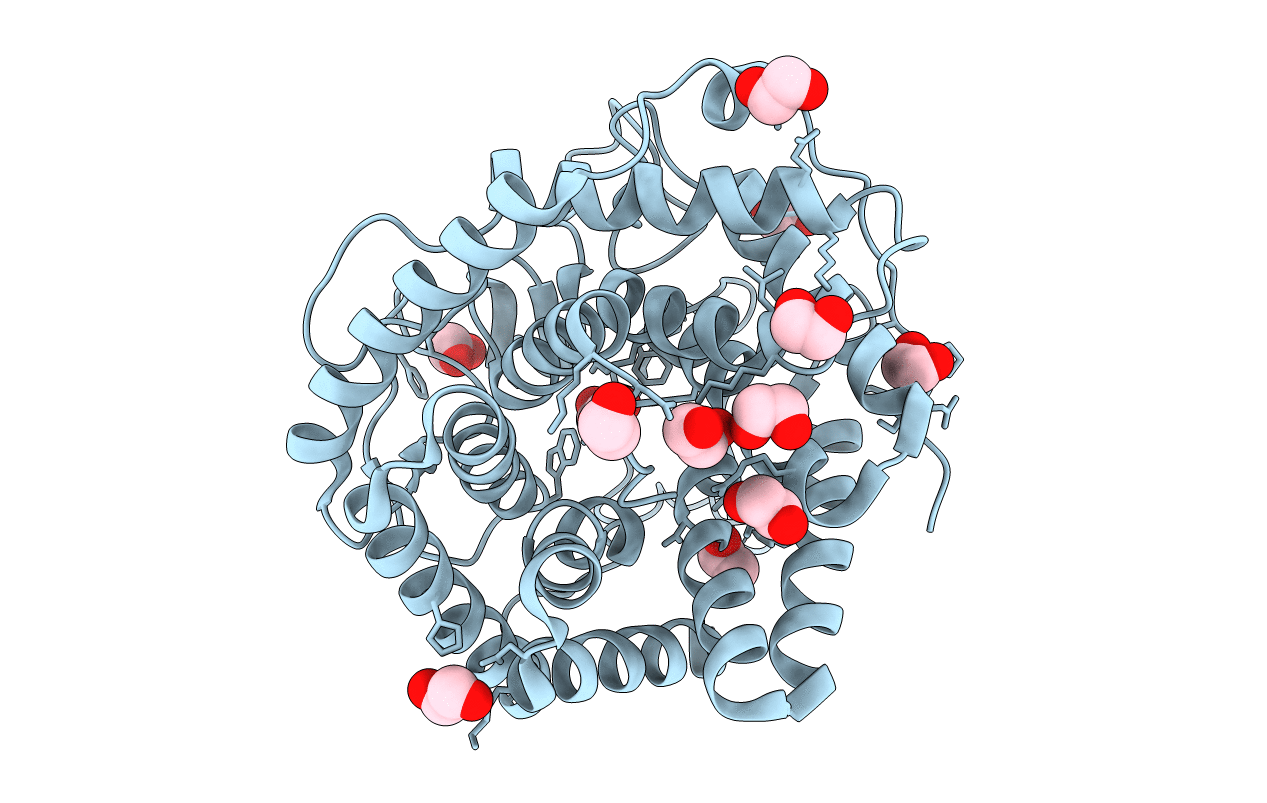 3WUX image