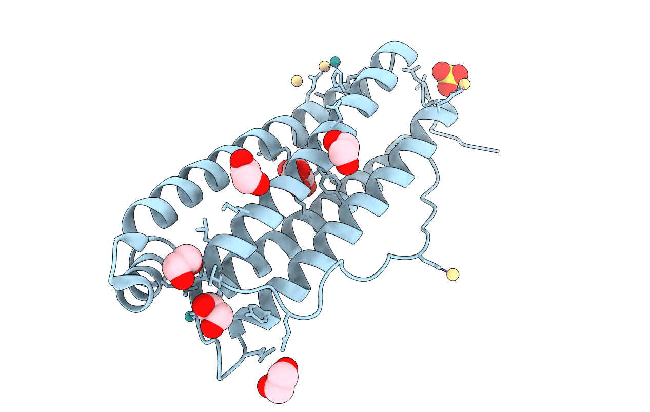 3WVV image