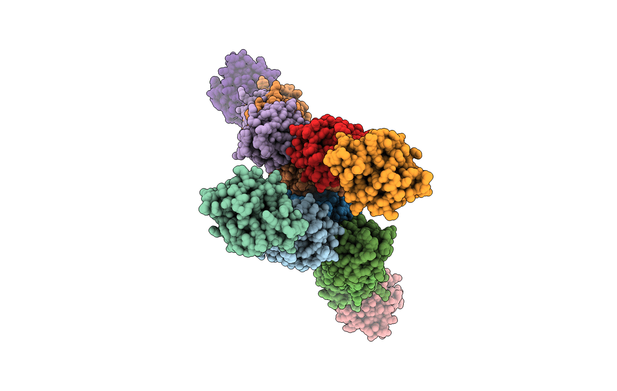 3WWK image