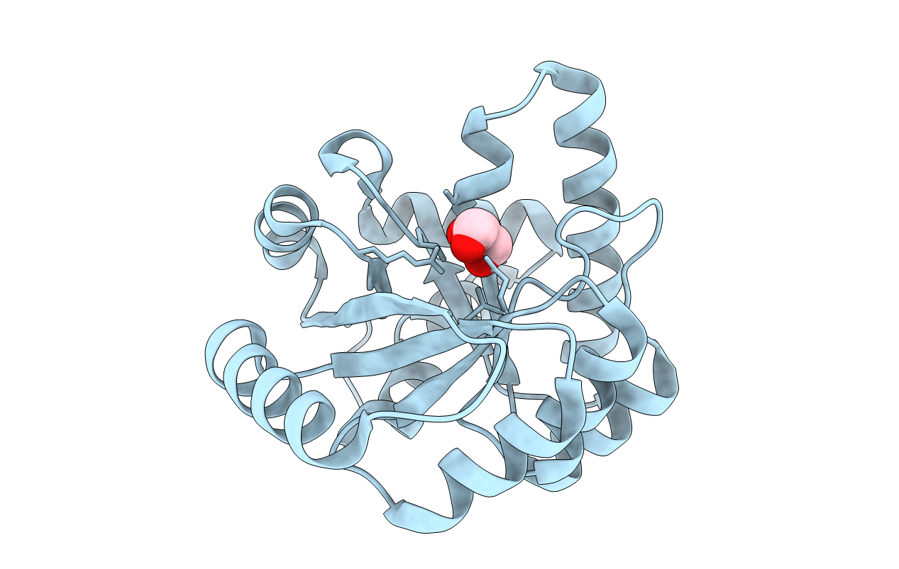 3WYZ image