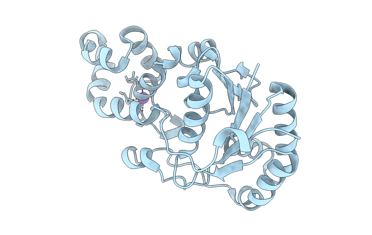 3ZD9 image