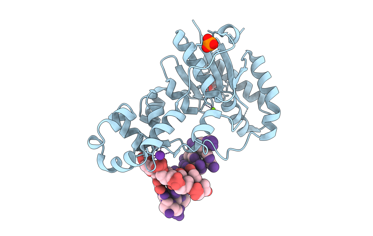 3ZDA image