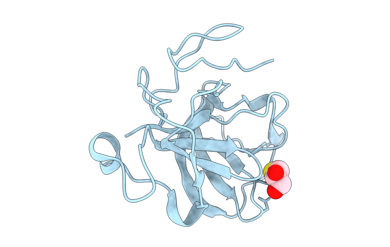 3ZFT image