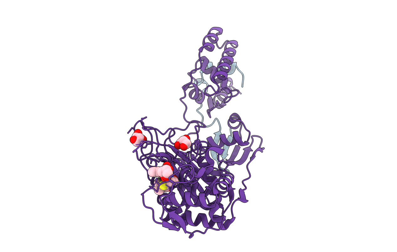 3ZGA image