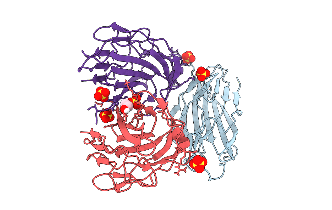 3ZGI image