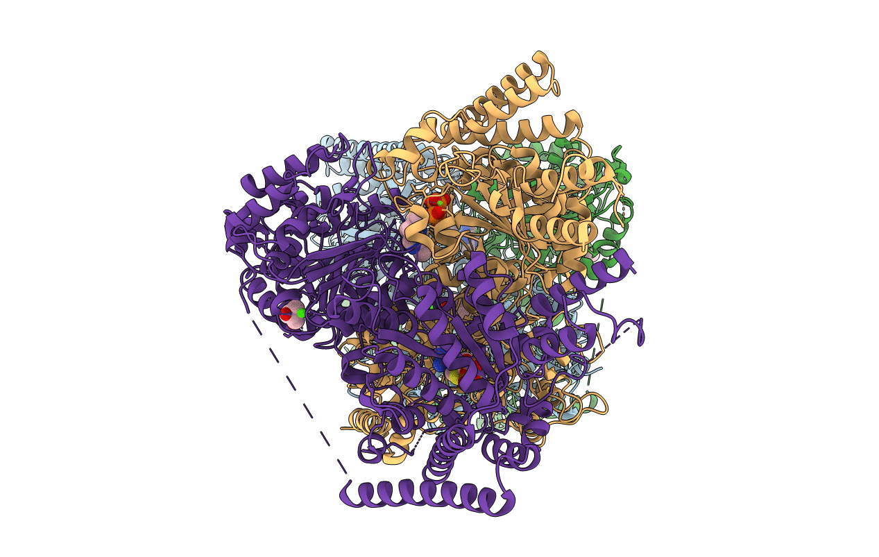 3ZHR image
