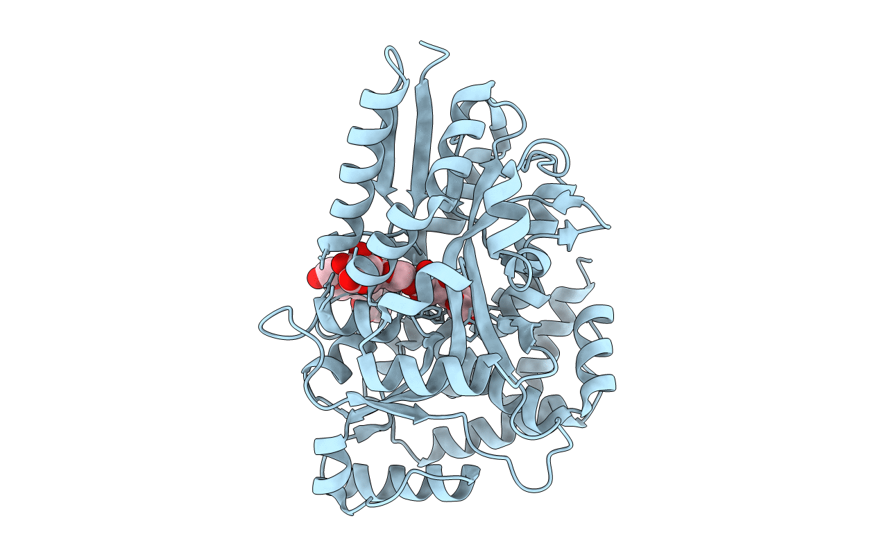 3ZKK image