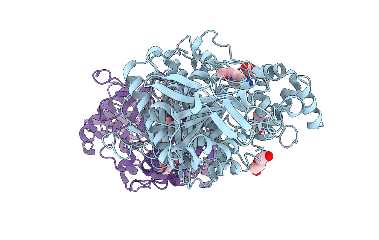 3ZLV image