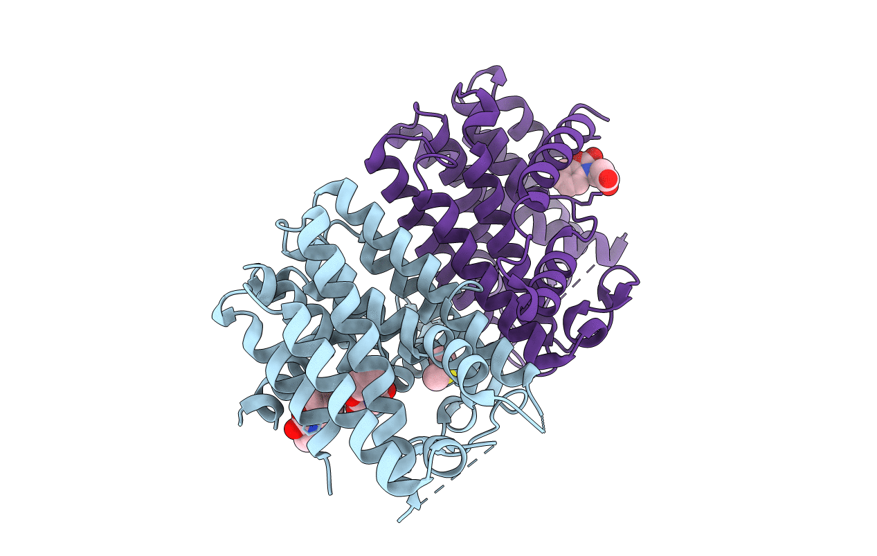 3ZMB image