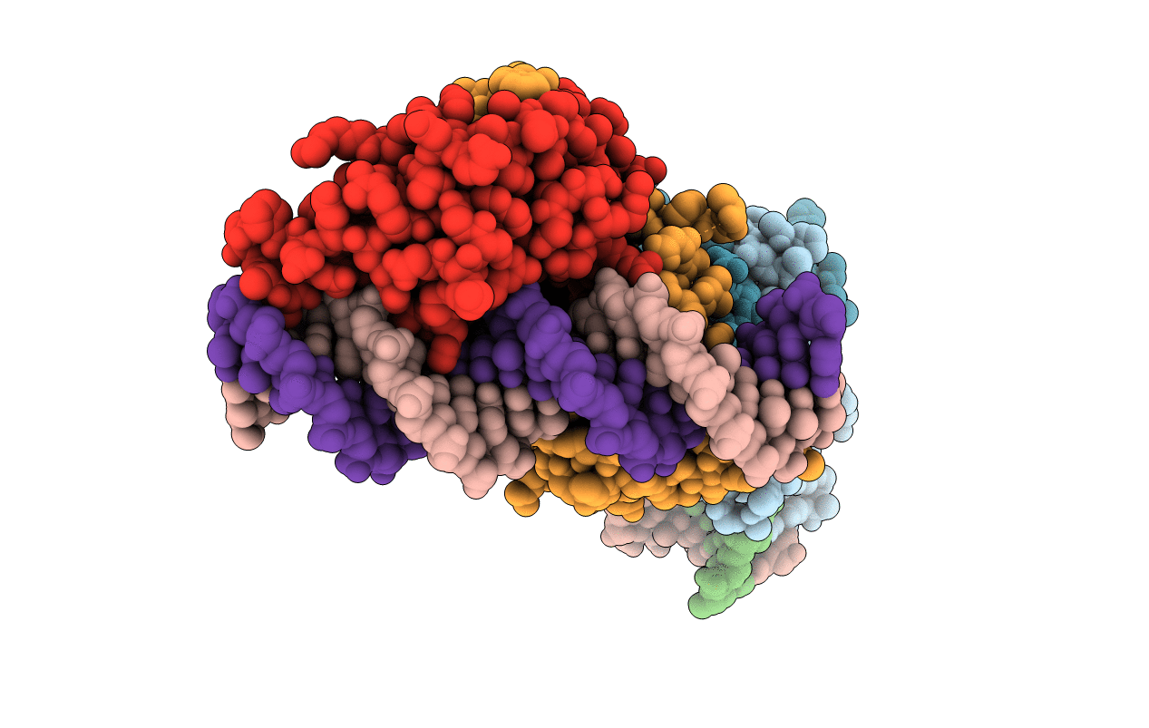 3ZPL image