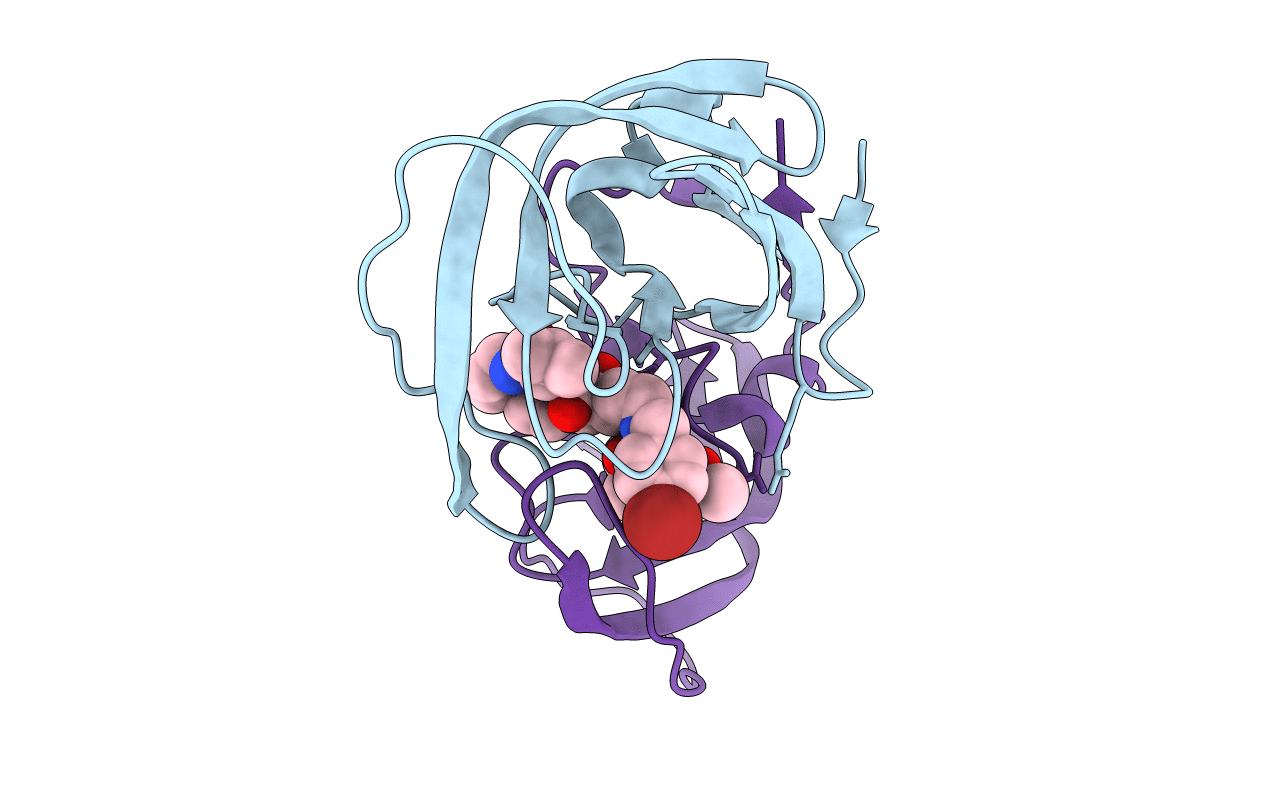 3ZPT image