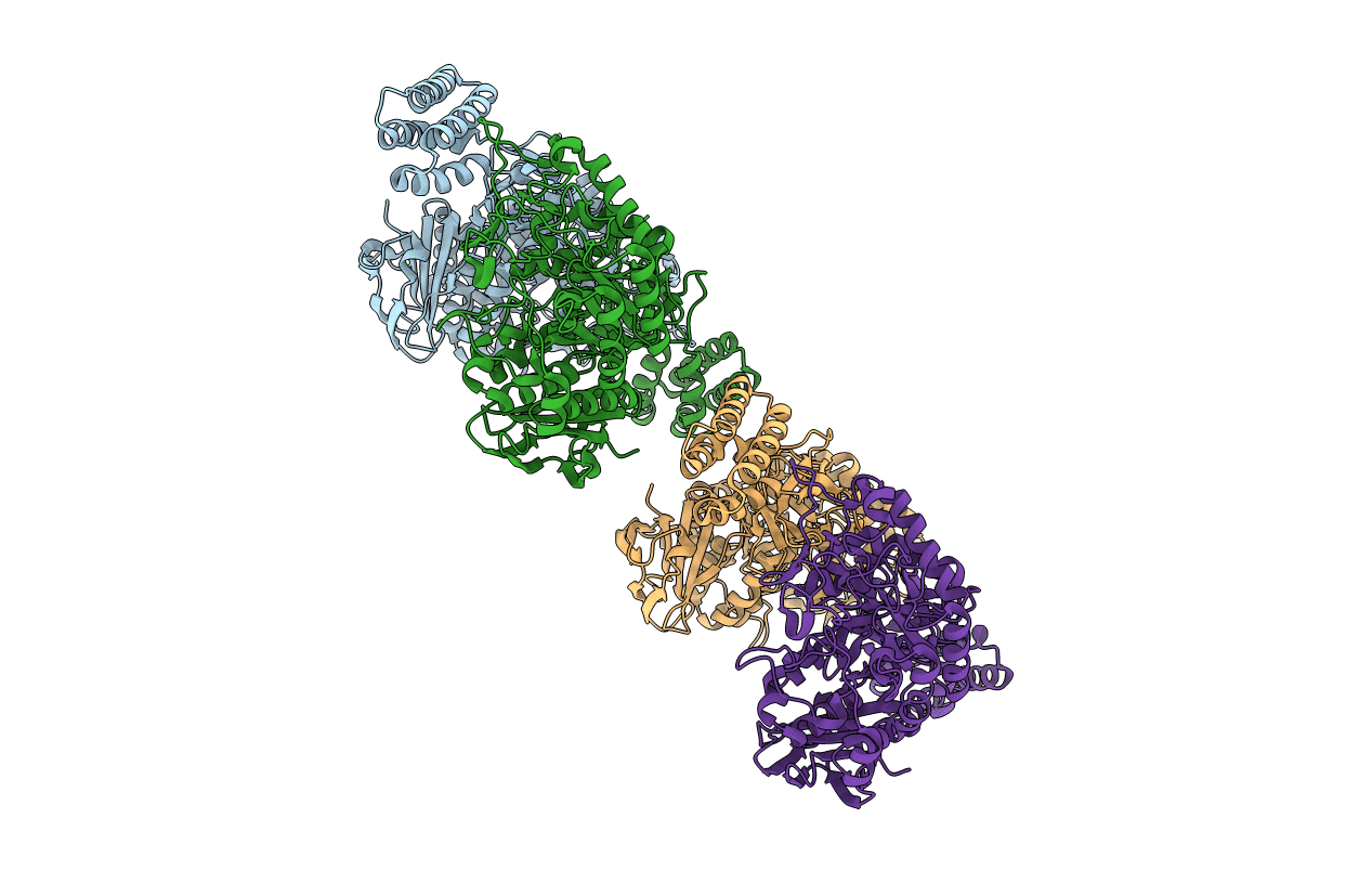 3ZSS image