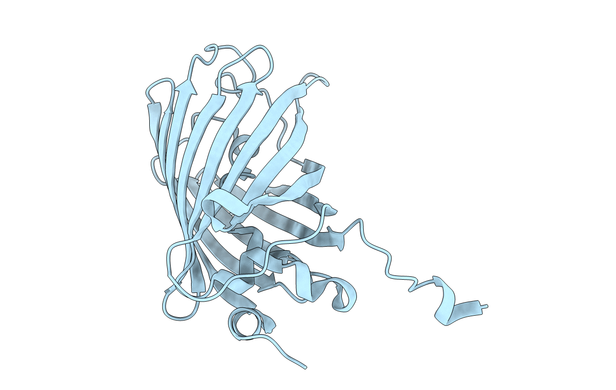 3ZTF image