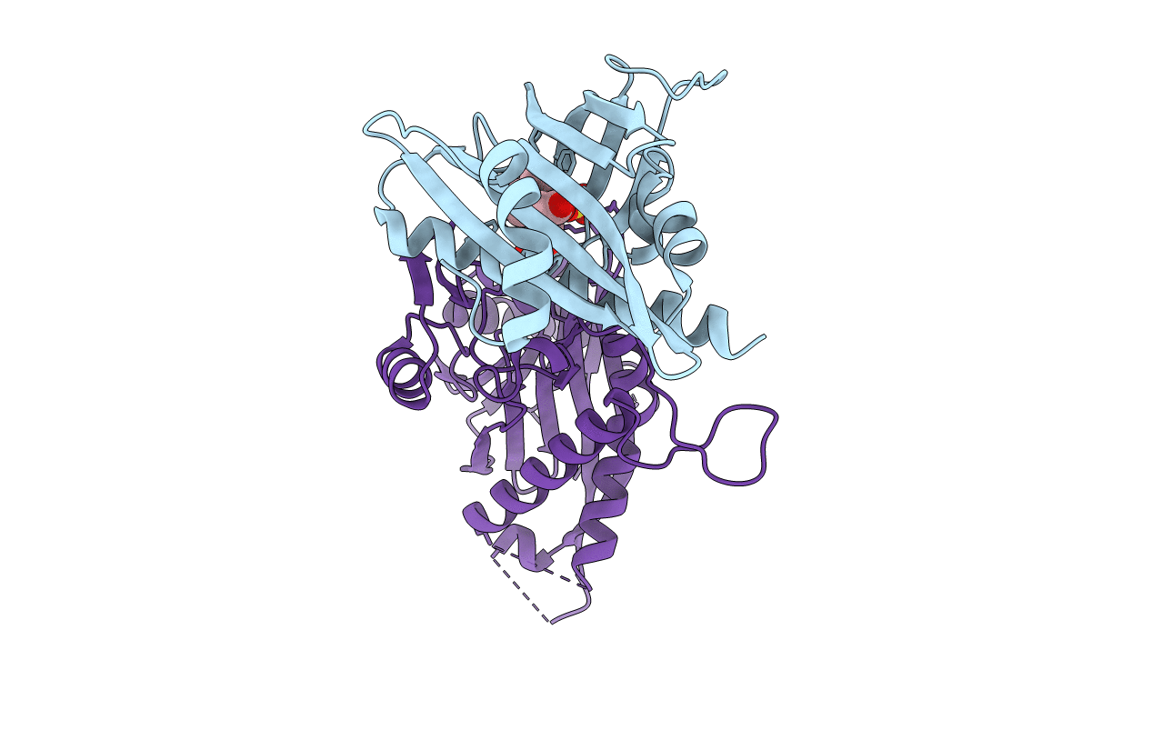 3ZVU image