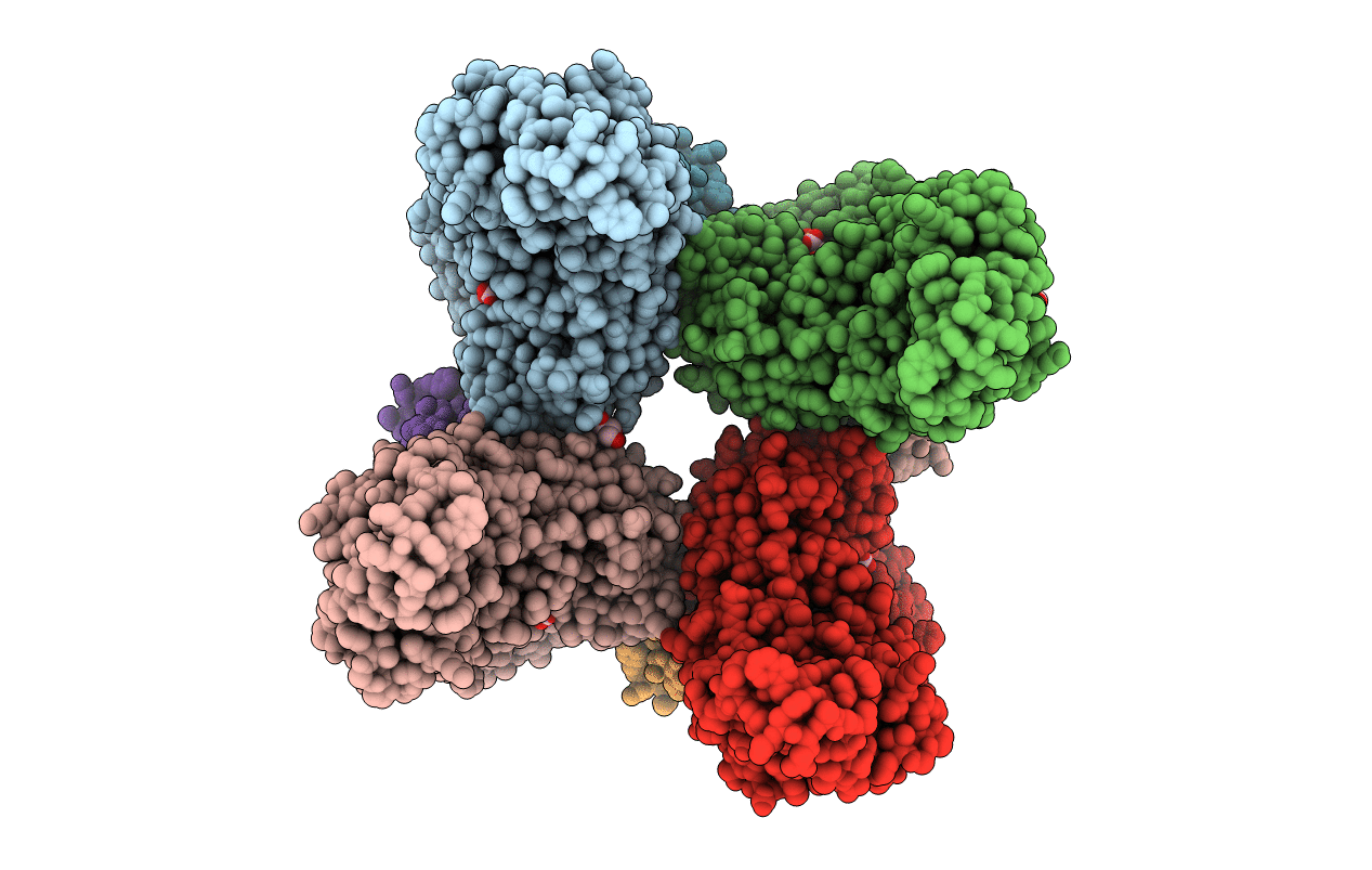 3ZXW image