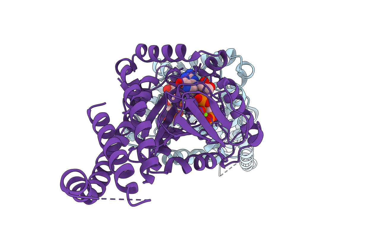 3ZYC image