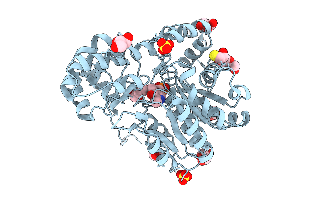 3ZZJ image