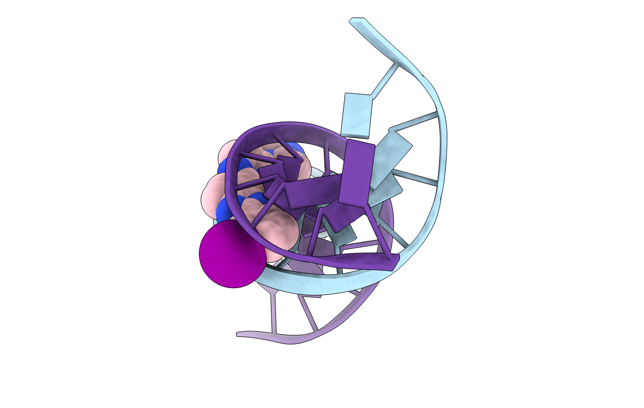 449D image