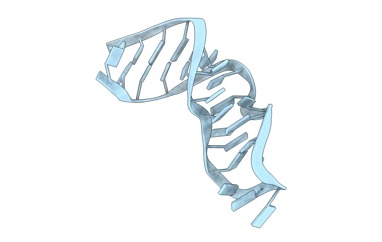 480D image