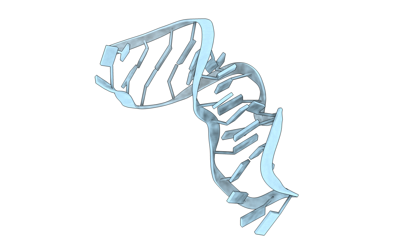 483D image