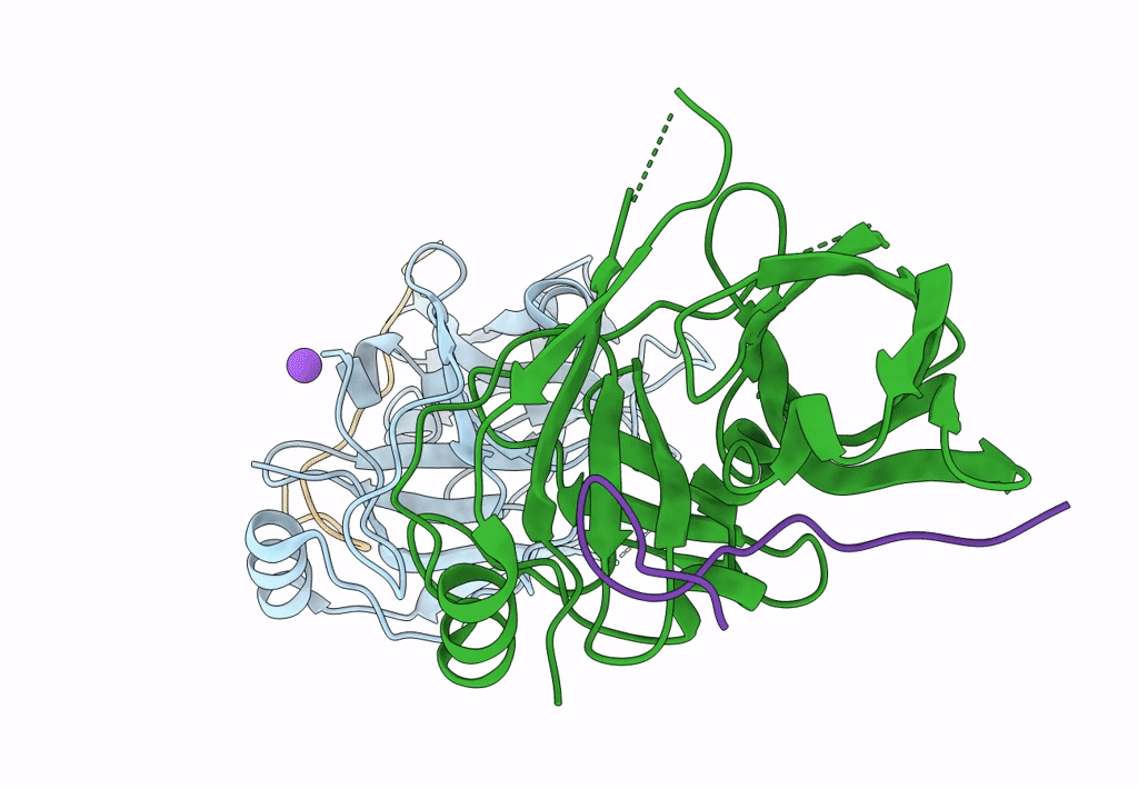 4A1V image
